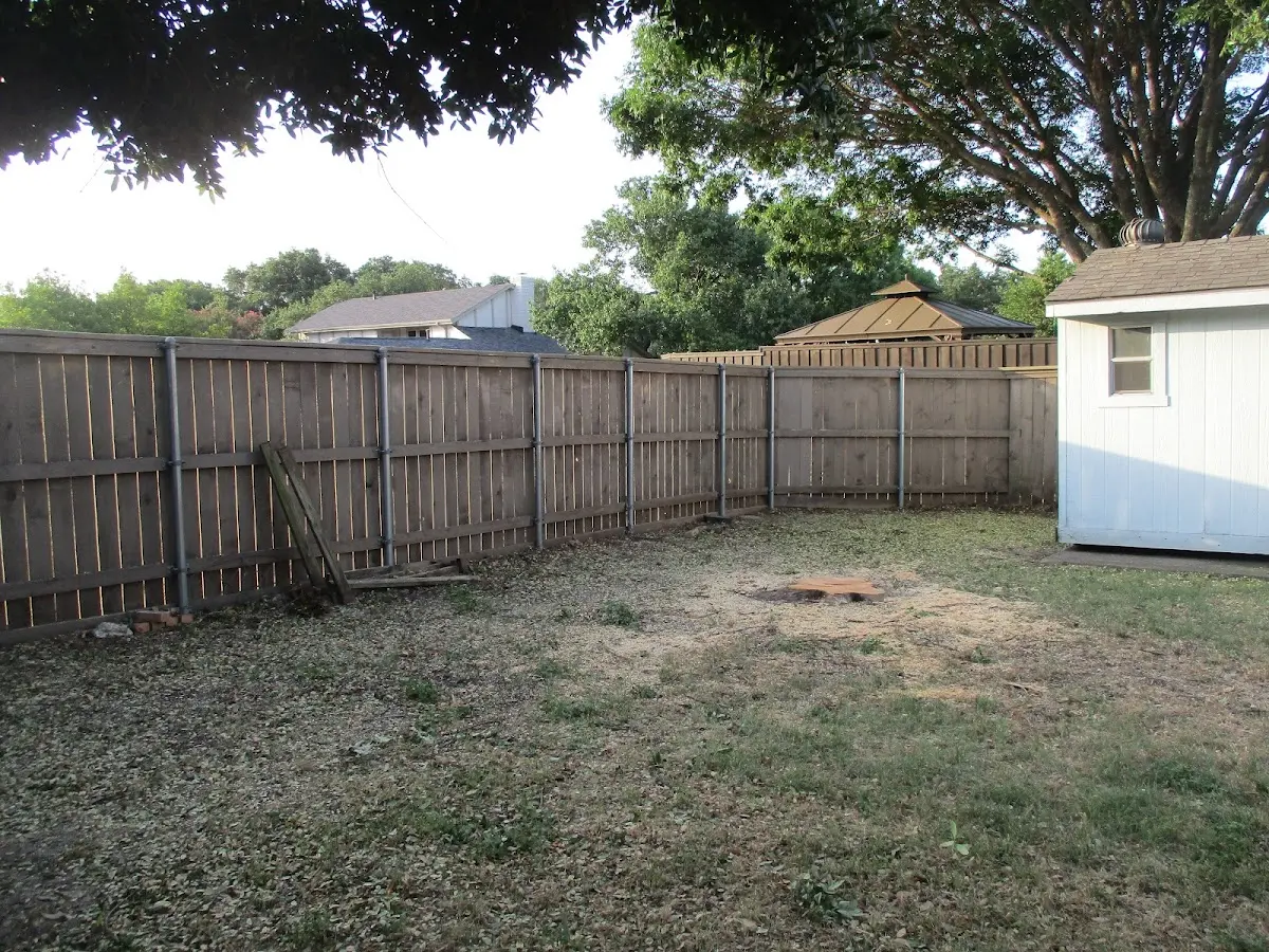 Cleared yard after professional tree removal in Belleville